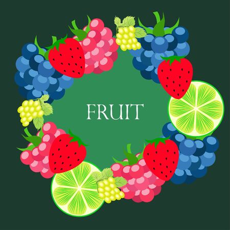 Fruits and berries. Colorful cartoon fruit icons: blackberry, raspberry, grape, strawberr, lime. Vector background.のイラスト素材