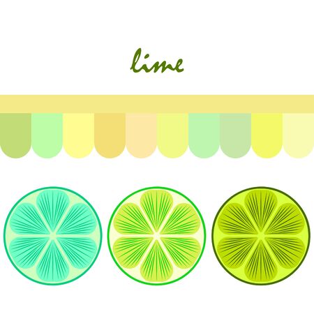 Green half and slice lime. Vector illustration, background.のイラスト素材