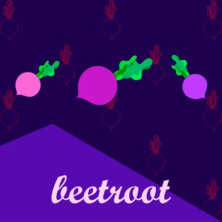 Fresh beet. Organic food poster. Farmer market design. Vector.のイラスト素材