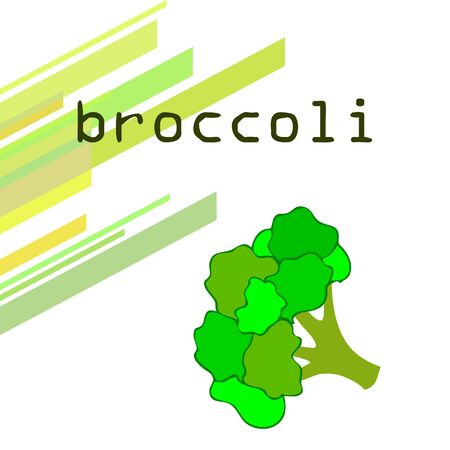 Broccoli Organic vegetable food poster.のイラスト素材