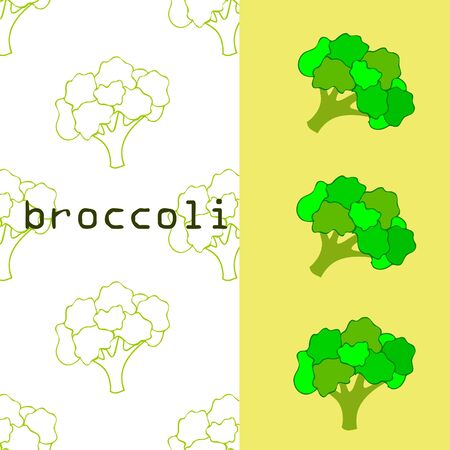 Broccoli Organic vegetable food poster.のイラスト素材