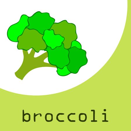 Broccoli Organic vegetable food poster.のイラスト素材
