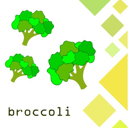 Broccoli Organic vegetable food poster.のイラスト素材