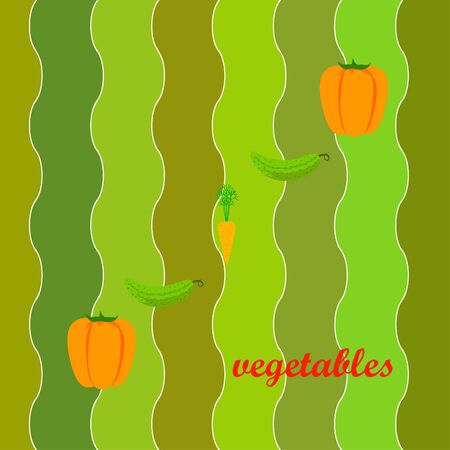 Organic vegetable food poster.のイラスト素材