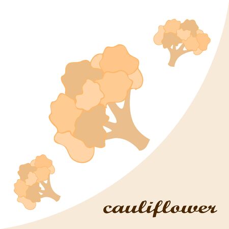 Cauliflower on food poster.のイラスト素材