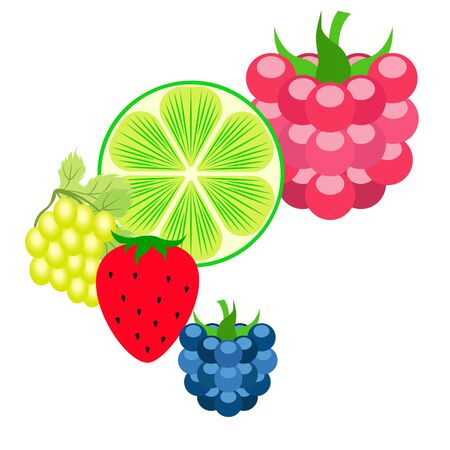 Fruits and berries. Colorful cartoon fruit icons: blackberry, raspberry, grape, strawberry, lime.のイラスト素材