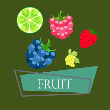 Fruits and berries. Colorful cartoon fruit icons: blackberry, raspberry, grape, strawberry, lime.のイラスト素材