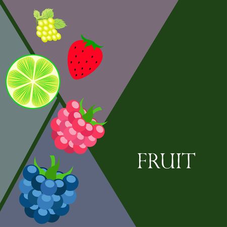 Fruits and berries. Colorful cartoon fruit icons: blackberry, raspberry, grape, strawberry, lime.のイラスト素材