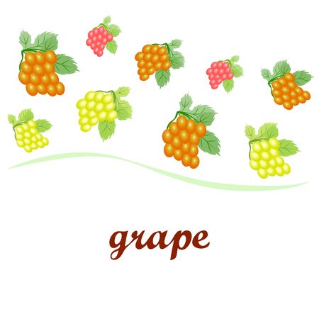 Grape with leaf.のイラスト素材