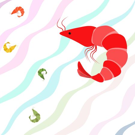 Shrimp seafood on whiteのイラスト素材