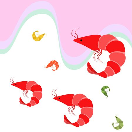 Shrimp seafood on whiteのイラスト素材