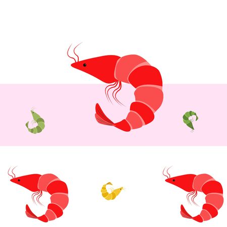 Shrimp seafood on whiteのイラスト素材