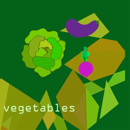 Cabbage, eggplant, beets, fresh vegetables. Organic food poster. Farmer market design. Vector background.のイラスト素材