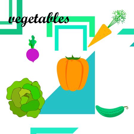 Cabbage, beet, carrot, pepper, cucumber, fresh vegetables. Organic food poster. Farmer market design. Vector background.のイラスト素材