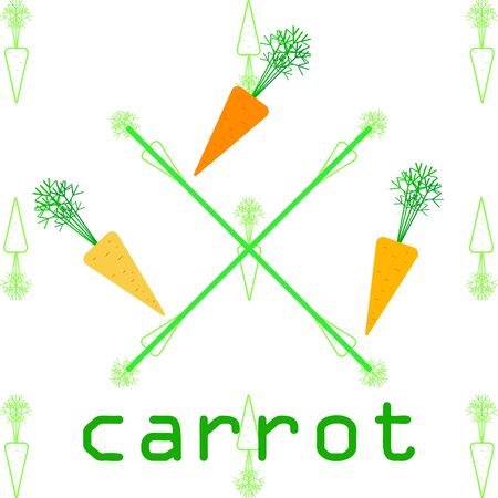 Carrot. Organic food poster. Farmer market design. Vector background.のイラスト素材