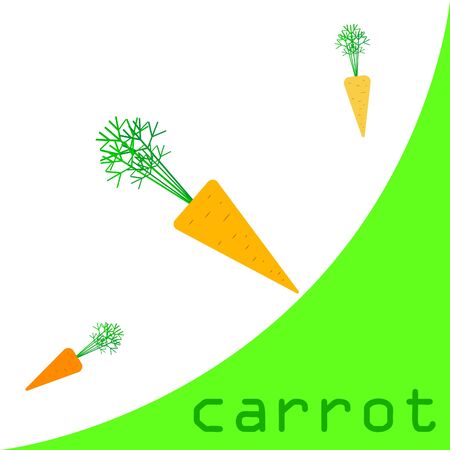 Carrot. Organic food poster. Farmer market design. Vector background.のイラスト素材