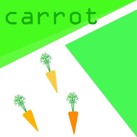 Carrot. Organic food poster. Farmer market design. Vector background.のイラスト素材