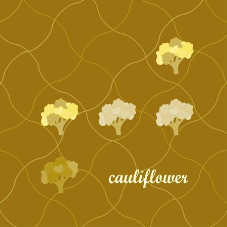 Cauliflower. Organic food poster. Farmer market design. Vector background.のイラスト素材