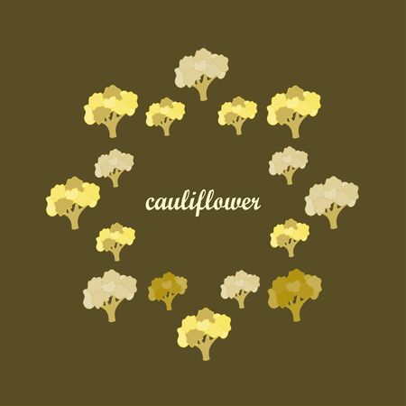 Cauliflower. Organic food poster. Farmer market design. Vector background.のイラスト素材