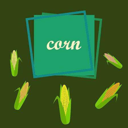 Corn. Organic food poster. Farmer market design. Vector background.のイラスト素材
