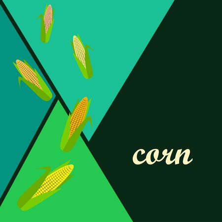 Corn. Organic food poster. Farmer market design. Vector background.のイラスト素材