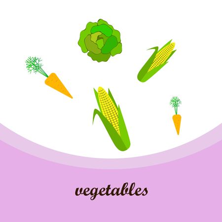 Corn , cabbage, carrot. Organic food poster. Farmer market design. Vector background.のイラスト素材