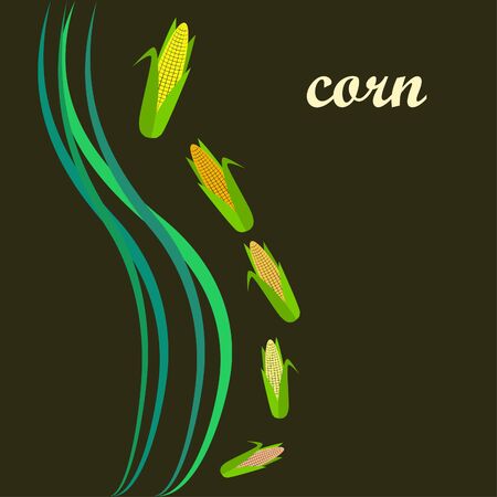 Corn. Organic food poster. Farmer market design. Vector background.のイラスト素材