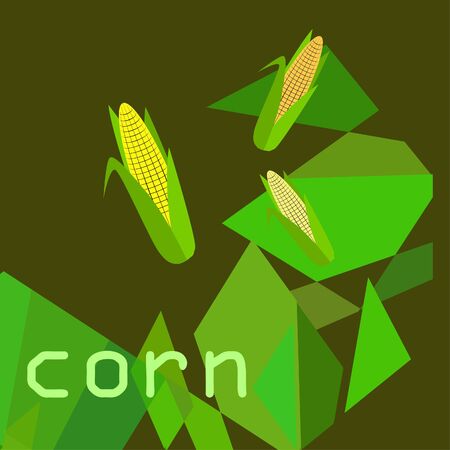 Corn. Organic food poster. Farmer market design. Vector background.のイラスト素材