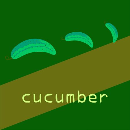 Cucumber. Fresh vegetables. Organic food poster. Farmer market design. Vector background.のイラスト素材
