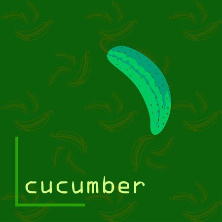 Cucumber. Fresh vegetables. Organic food poster. Farmer market design. Vector background.のイラスト素材