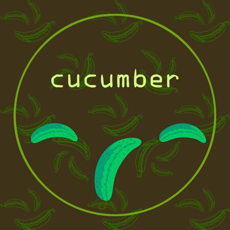 Cucumber. Fresh vegetables. Organic food poster. Farmer market design. Vector background.のイラスト素材