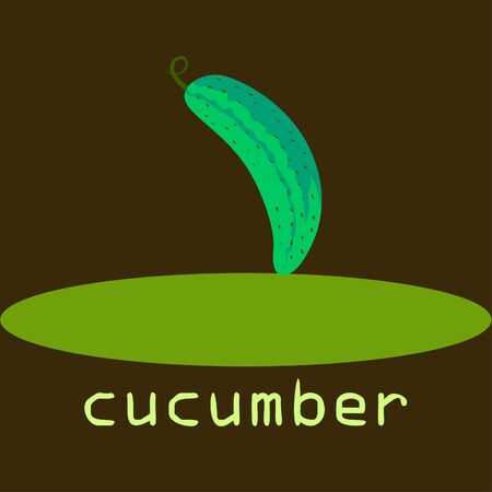 Cucumber. Fresh vegetables. Organic food poster. Farmer market design. Vector background.のイラスト素材