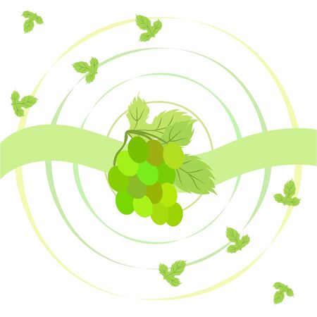 Grape with leaf. Vector elements for designのイラスト素材