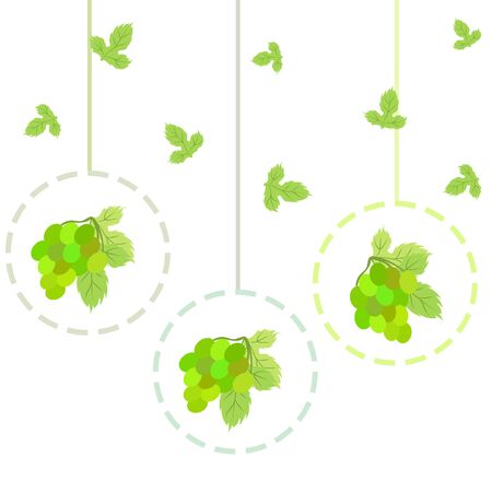 Grape with leaf. Vector elements for designのイラスト素材