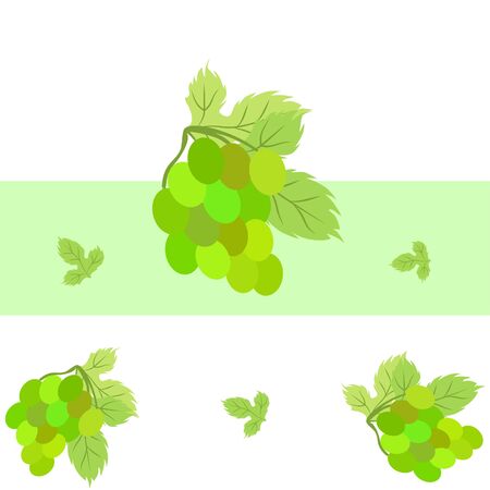 Grape with leaf. Vector elements for designのイラスト素材