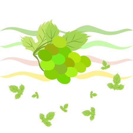 Grape with leaf. Vector elements for designのイラスト素材