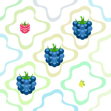 Fruits and berries. Colorful cartoon fruit icons: blackberry, raspberry, grape, strawberry, lime....
