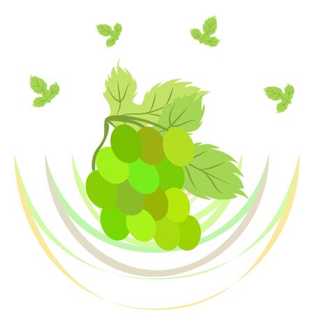 Grape with leaf. Vector elements for designのイラスト素材