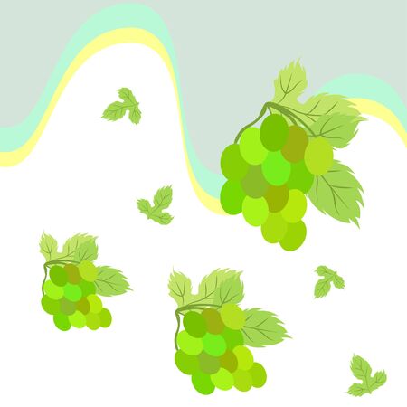 Grape with leaf. Vector elements for designのイラスト素材