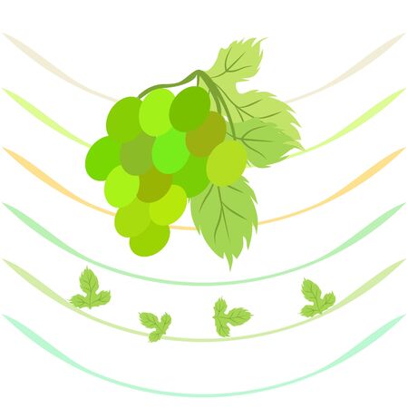 Grape with leaf. Vector elements for designのイラスト素材