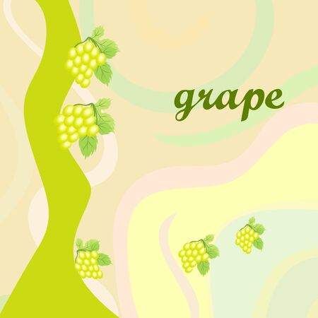 Grape with leaf. Vector elements for designのイラスト素材