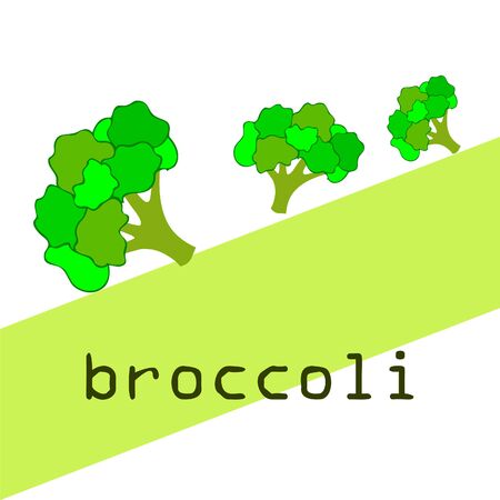 Broccoli, fresh vegetable. Organic food poster. Farmer market design. Vector background.のイラスト素材
