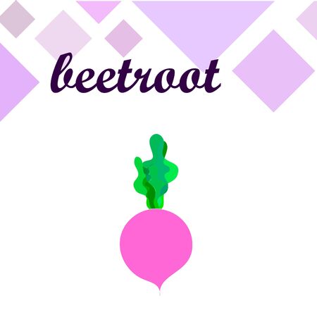 Fresh beet. Organic food poster. Farmer market design. Vector.のイラスト素材