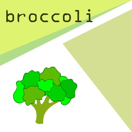 Broccoli, fresh vegetable. Organic food poster. Farmer market design. Vector background.のイラスト素材