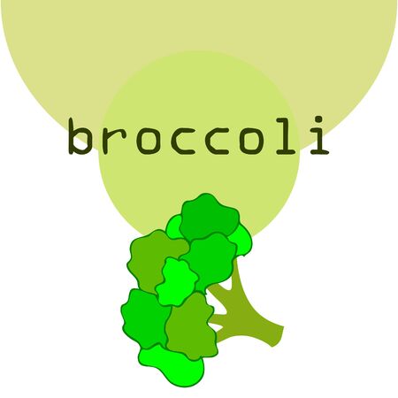 Broccoli, fresh vegetable. Organic food poster. Farmer market design. Vector background.のイラスト素材