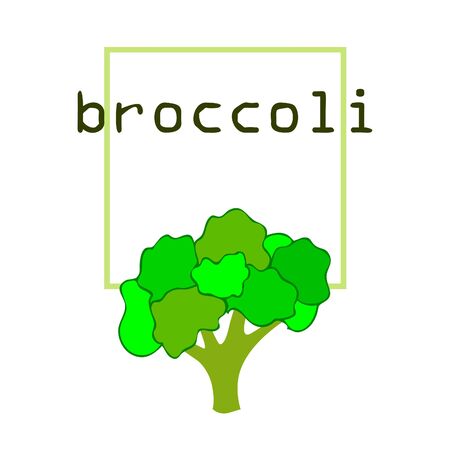 Broccoli, fresh vegetable. Organic food poster. Farmer market design. Vector background.のイラスト素材