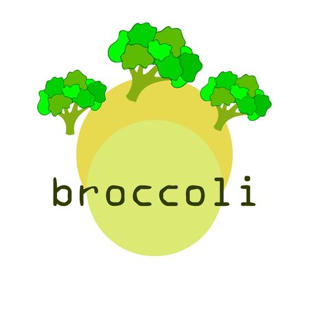 Broccoli, fresh vegetable. Organic food poster. Farmer market design. Vector background.のイラスト素材