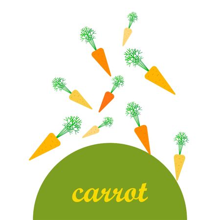 Carrot. Organic food poster. Farmer market design. Vector background.のイラスト素材