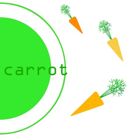 Carrot. Organic food poster. Farmer market design. Vector background.のイラスト素材