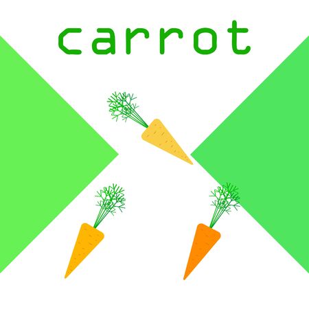 Carrot. Organic food poster. Farmer market design. Vector background.のイラスト素材